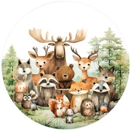 Bosvrienden Muurcirkel Kinderkamer